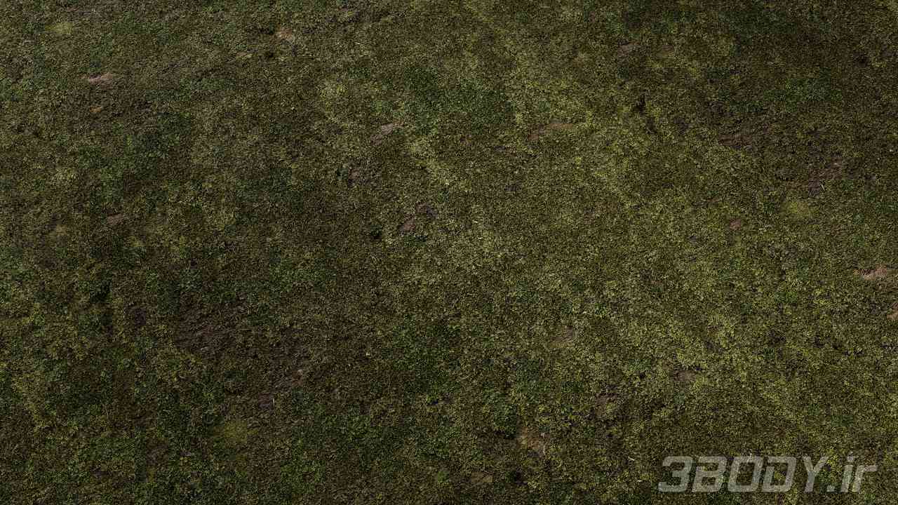 متریال خزه زمینی ground moss عکس 1